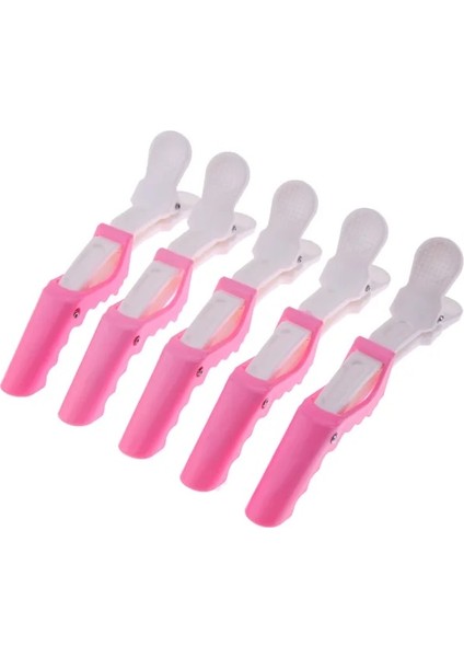 5 Adet Pembe 5/6/10 Adet Saç Boyası Klipleri Salon Saç Boyama Kesit Konumlandırma Tokalar Kuaförlük Malzemeleri Salon Kuaför Berber Aracı (Yurt Dışından)