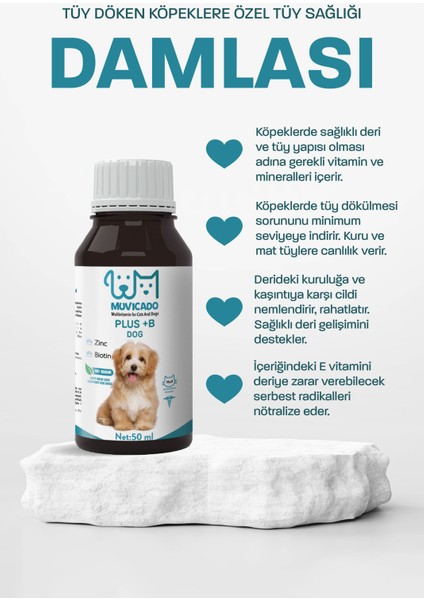 Köpekler Için Tüy Sağlığı Damlası - Plus B -Tüy Dökülmesini Engelleme