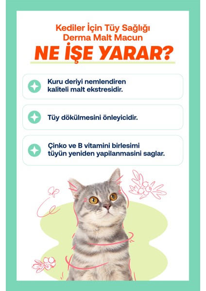 Kediler İçin Derma Malt Macun – Tüy Sağlığı Destekleyici 100g