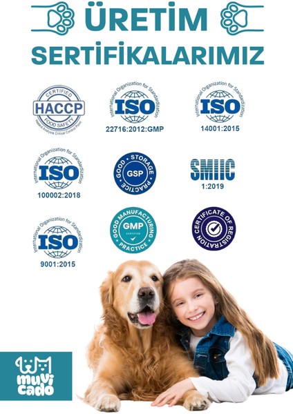 Kedi ve Köpeklerde Hareket Sağlığı Destekleyici Glukozamin Tablet Glukozamin Msm Chondroitin Move G