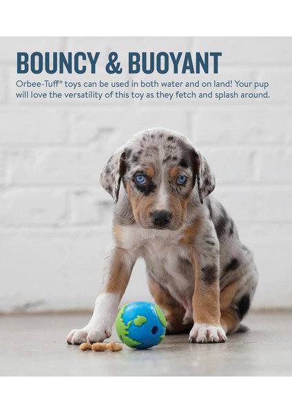 Orbee Ball Blue Ödül Hazneli Köpek Oyuncağı Küçük fırsatları