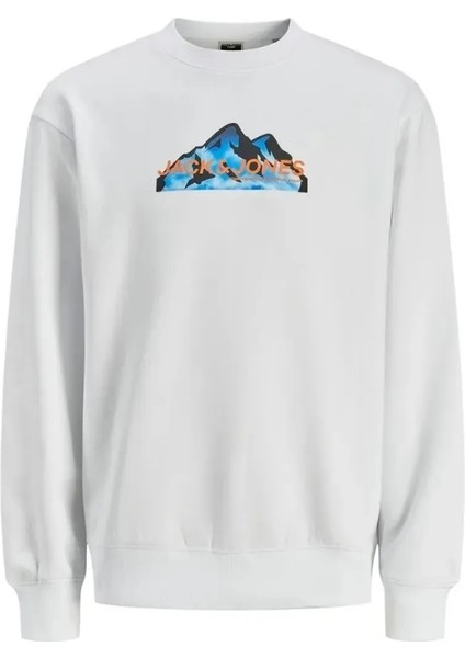 Mountaın Logo Bisiklet Yaka Erkek Sweat 12262094