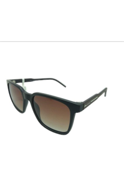 MOD.8338 C.03 Kahverengi Erkek Güneş Gözlüğü modelleri