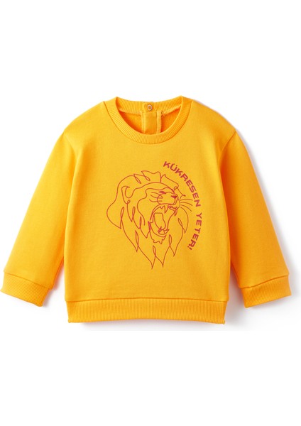 Galatasaray Bebek Sweatshirt B241012