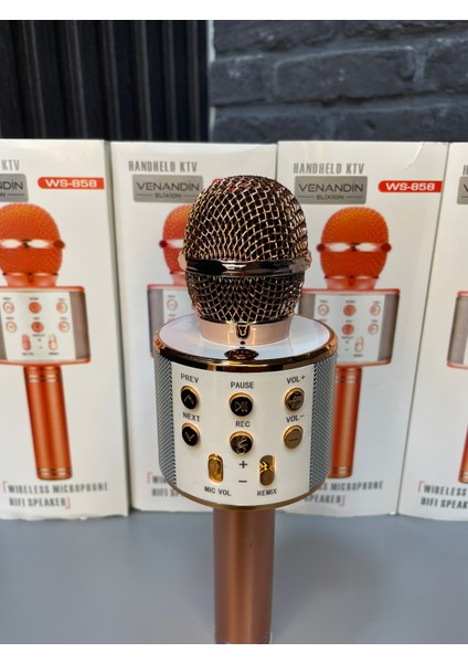 Bluetooth Karaoke Mikrofon