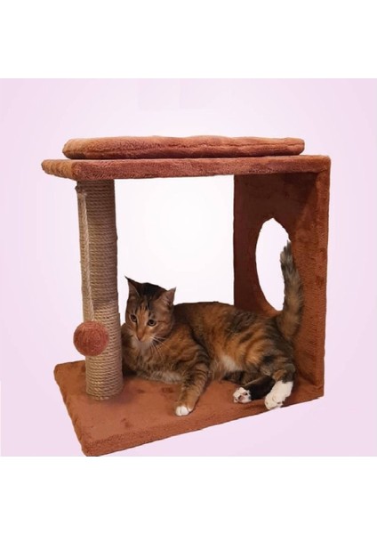 Kedi Tırmalama Ve Oyun Terası