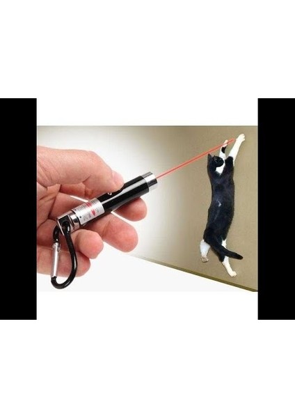 Büro Ev Evcil Hayvanı İçin Anahtarlık Tipi 4yedek Başlı Pilli Lazer Kedi Oyuncağı fiyatları