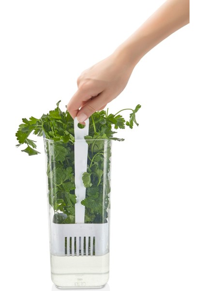 Kare Yeşillik Saklama Kabı, 1700 ml - 3 Adet