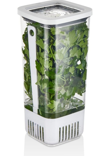 Kare Yeşillik Saklama Kabı, 1700 ml - 3 Adet