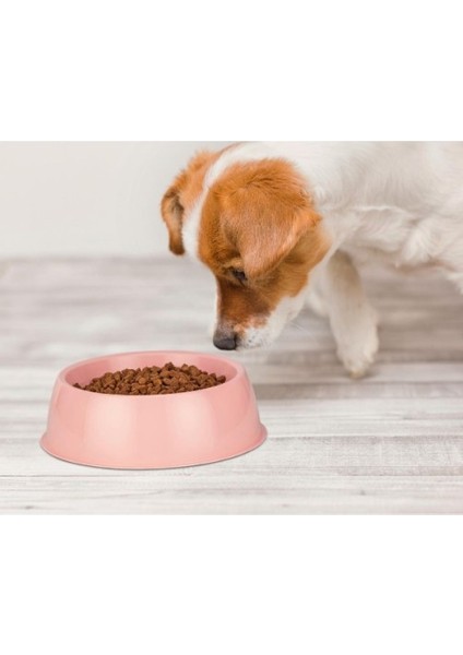 Büro Ev Evcil Hayvanı İçin Mini Oval Kedi Köpek Mama Kabı