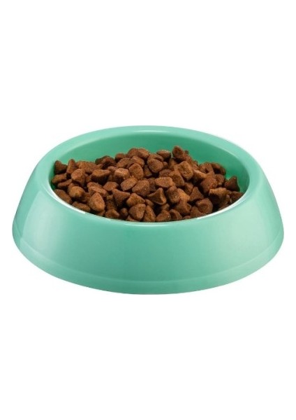 Büro Ev Evcil Hayvanı İçin Mini Kedi Köpek Mama Kabı