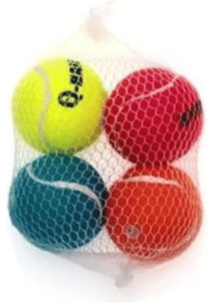 Ev Evcil Hayvanı İçin 4adet Köpek Oyun Topu Seti