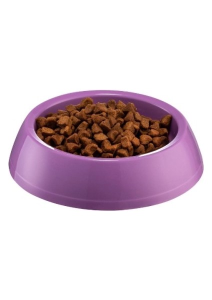Büro Ev Evcil Hayvanı İçin Büyük Oval Kedi Köpek Mama Kabı