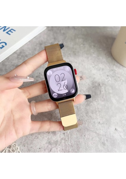 Digizone Huawei Fit 3 Uyumlu Metal Hasır Kordon