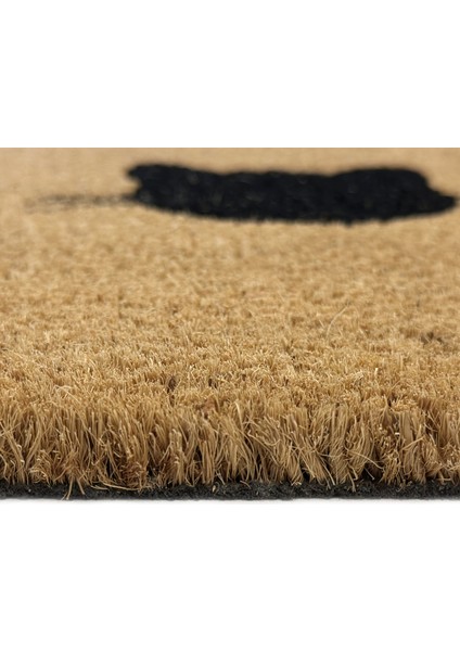 Cat Home Coco Paspas 40 x 60 cm