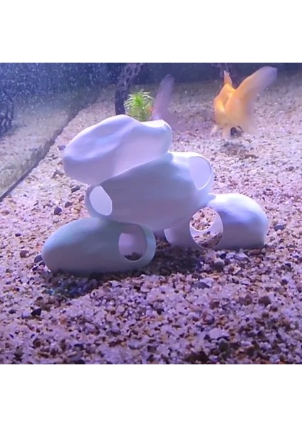 4'lü Set Akvaryum Aksesuarı