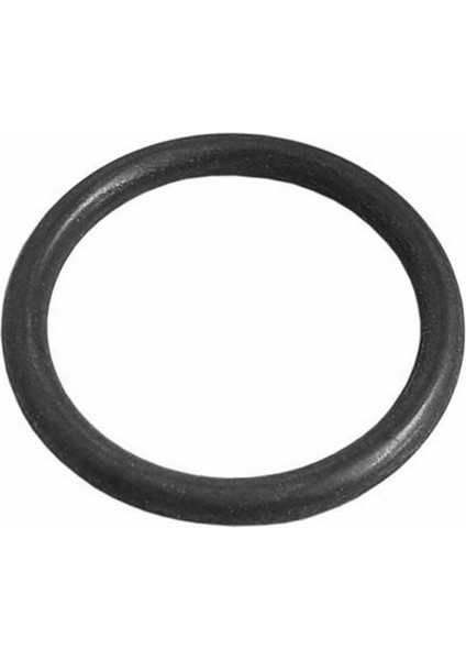 Segman 2mm THK- 2 Adet TD, T4, TDF (5177510)