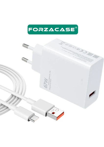 iPad 2022 2024 2025 ile Uyumlu Hızlı Şarj Destekli 67W Type-C USB Şarj Cihazı Seti FC996