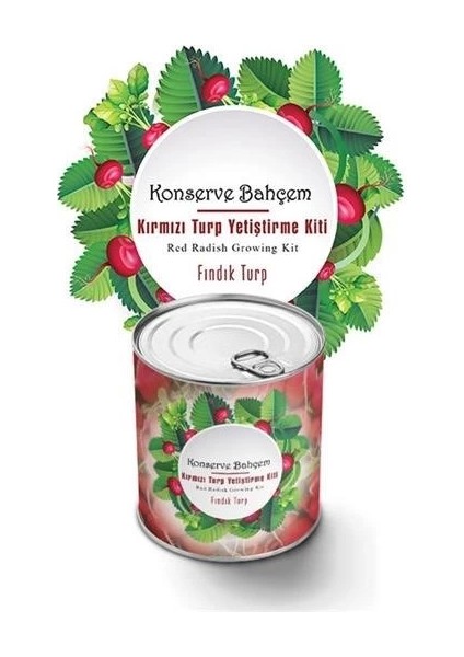 Konserve Bahçem Evde Konservede Fındık Turp Yetiştirme Kiti