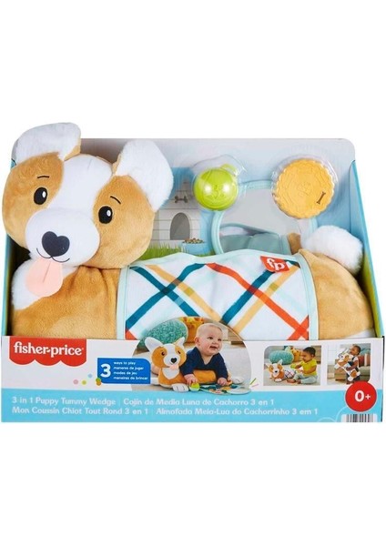 Fisher Price 3'ü 1 Arada Köpekçik Uzanma Yastığı Hjw1 fiyatları