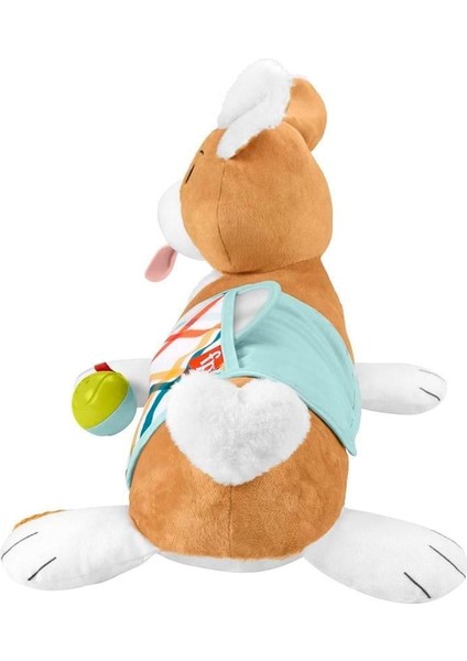 Fisher Price 3'ü 1 Arada Köpekçik Uzanma Yastığı Hjw1 fırsatları
