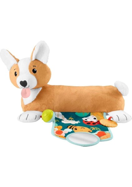 Fisher Price 3'ü 1 Arada Köpekçik Uzanma Yastığı Hjw1 indirimleri