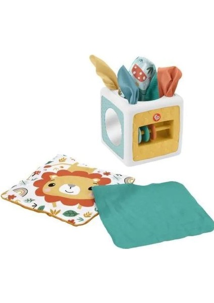 Mattel Fp Eğlenceli Aktivite Küpü HML64