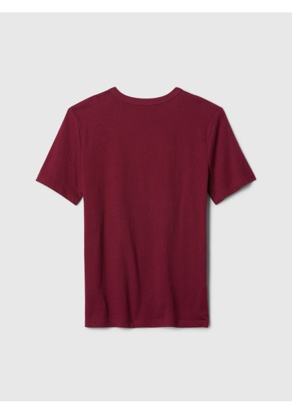Erkek Çocuk Bordo Gap Logo Grafikli T-Shirt modelleri
