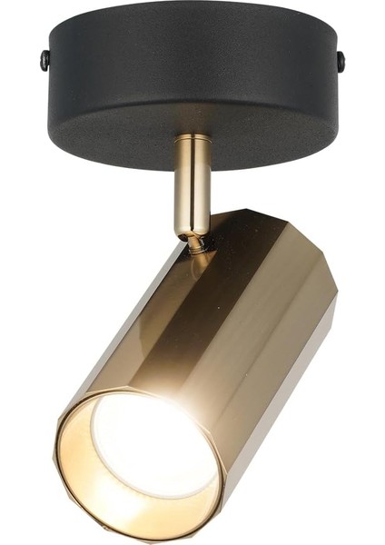 Rosta Tekli Siyah-Antık Lak Plafonyer 1XGU10