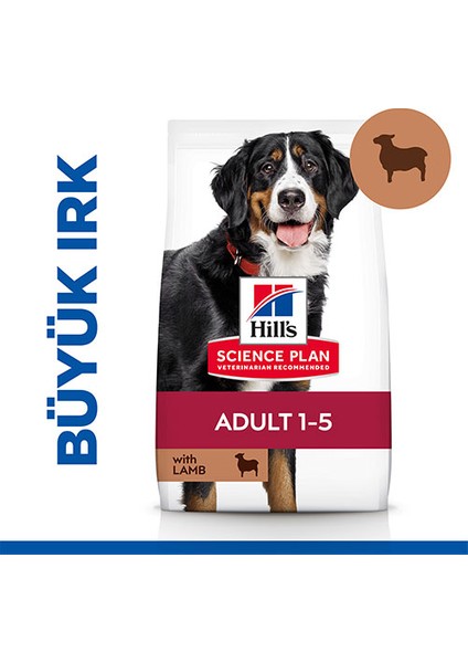 Kuzu Etli Büyük İrk Yetişkin Köpek Maması - 14 Kg