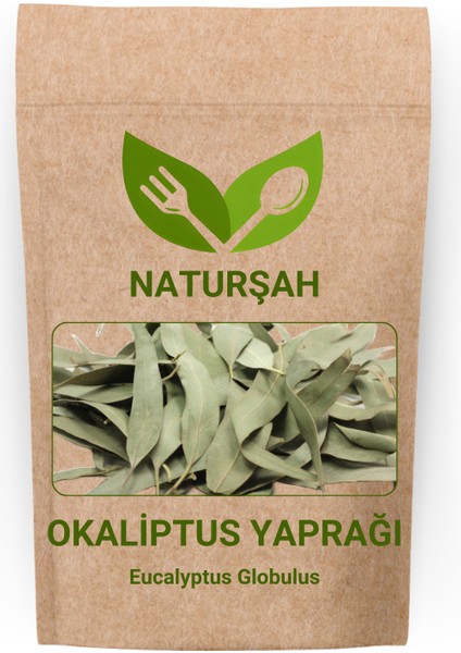 Okaliptus Yaprağı 100 gr