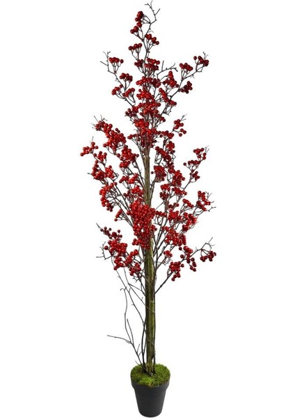 Yapay Ağaç Kokina Ağacı 150 cm Doğal Görünümlü 7dallı fiyatları