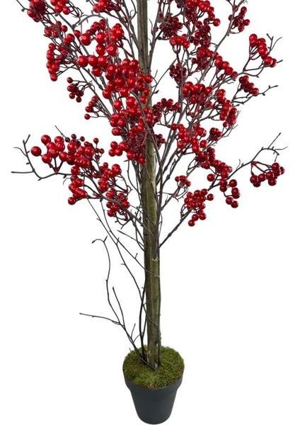 Yapay Ağaç Kokina Ağacı 150 cm Doğal Görünümlü 7dallı fırsatları