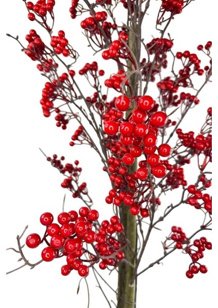 Yapay Ağaç Kokina Ağacı 150 cm Doğal Görünümlü 7dallı indirimleri