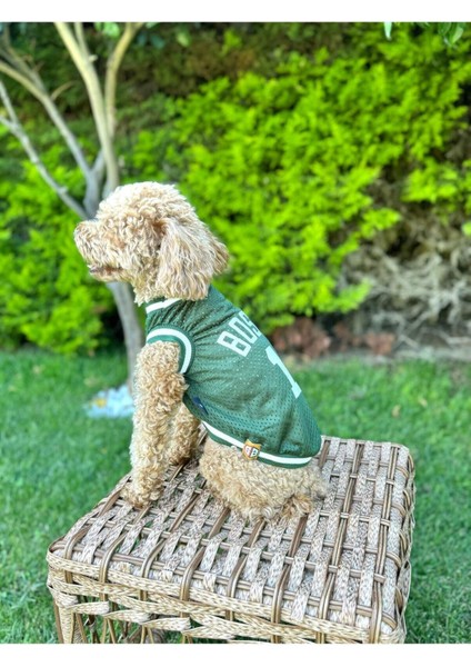 Köpek Kıyafeti, Boston Köpek Forma, Kedi Köpek Elbisesi