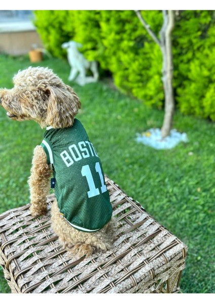 Köpek Kıyafeti, Boston Köpek Forma, Kedi Köpek Elbisesi modelleri