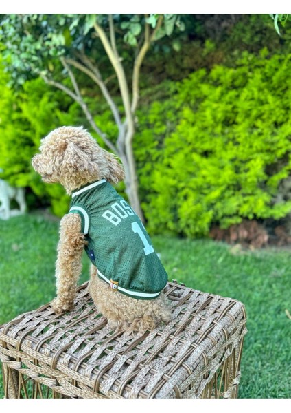 Köpek Kıyafeti, Boston Köpek Forma, Kedi Köpek Elbisesi fırsatları