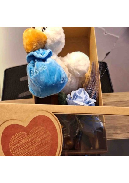 Hoşgeldin Bebek Peluş Set Mavi