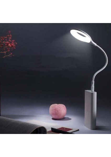 Ingilizce Ses Komut Özellikli USB Gece Lambası, Yatak Odası, Banyo, Koridor, Mutfak, Araba, Kamp Çadırı İçin Esnek Kaz Boyunlu Akıllı LED Okuma Lambası (App Gerekmez) Tak ve Kullan LK50