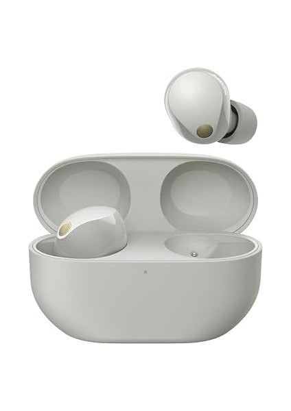 WF-1000 x M5 Kablosuz Gürültü Önleyici Kulaklık, Bluetooth, Kulak Içi Kulaklık, Mikrofon, 24 Saate Kadar Pil Ömrü, Hızlı Şarj Fonksiyonu, Ipx4, Ios ve Android Uyumlu, Gümüş, Küçük