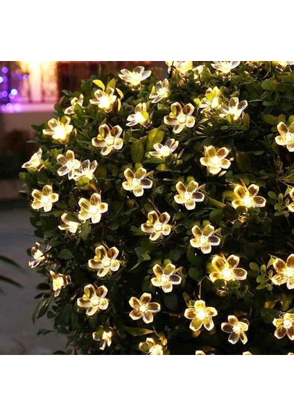Solar Güneş Enerjili 30 LED Çiçek Zinciri Kiraz Çiçeği IP65 Su Geçirmez Solar Işık Zinciri Dış Mekan Bahçe Veranda Avlu Çardak Noel Ağacı Partiler Gün Işığı