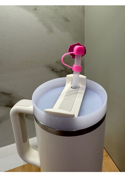 Stanley Pipet Tıpası, Pipet Kılıfı Aksesuarı, Toza ve Kire Karşı Koruma, Deniz Kabuğu modelleri