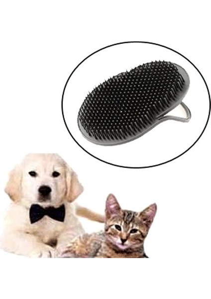 Kedi Yıkama Fırçası