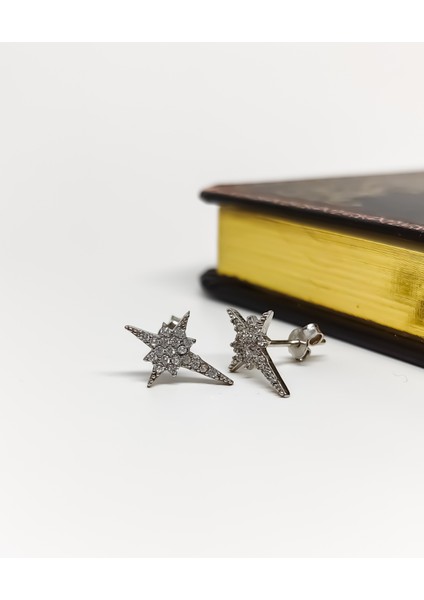 Gümüş Kutup Yıldızı Küpe modelleri