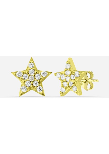 Gümüş Yıldız Küpe