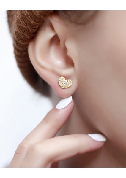 Kalpli Gümüş Küpe fiyatları