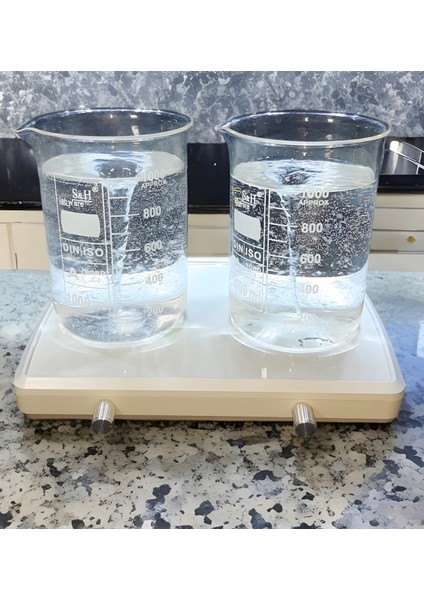 Manyetik Karıştırıcı İkili 2 Adet 6x20 mm Manyetik Balık