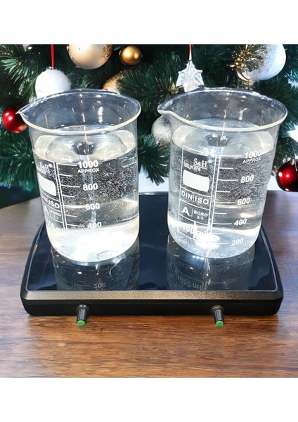 Manyetik Karıştırıcı 2 Adet 6x20 mm Manyetik Balık