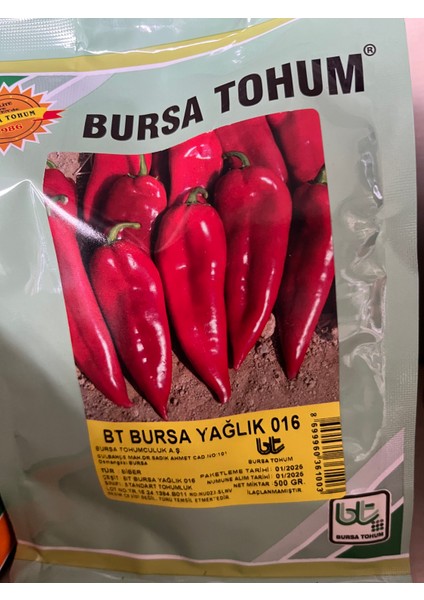 Sarı Biber