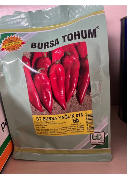 Sarı Biber